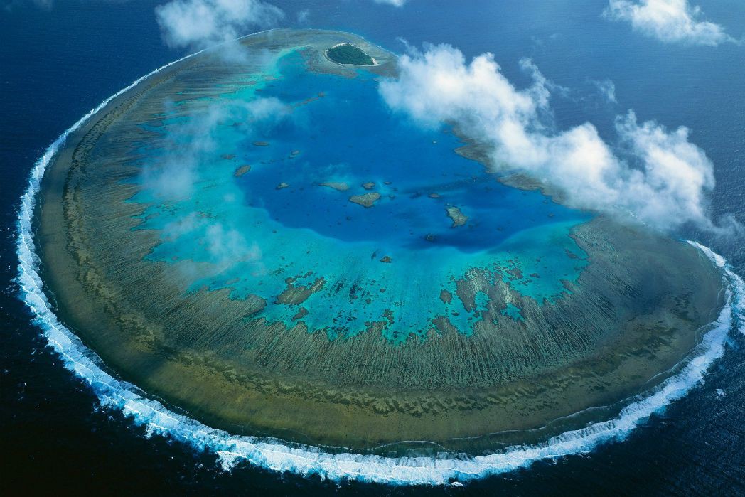 Why You Need To Visit Lady Musgrave Island Queensland