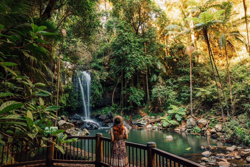 Tamborine Mountain Top Things To Do Queensland