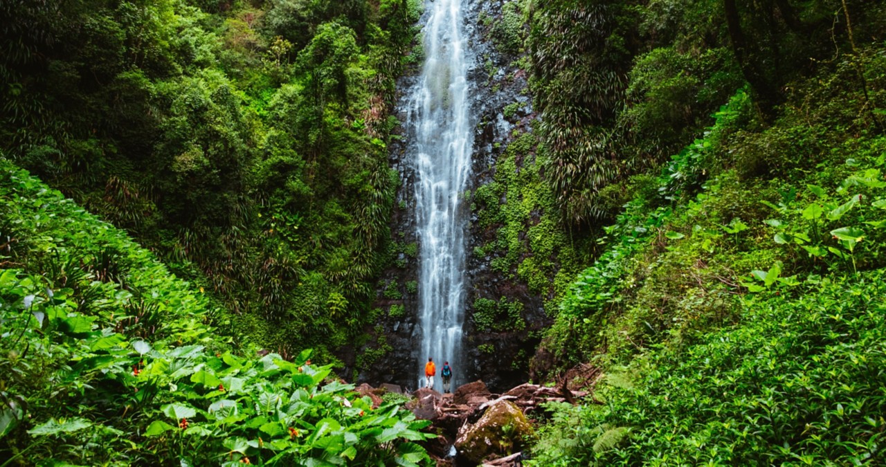 hidden-spots-on-the-gold-coast-queensland