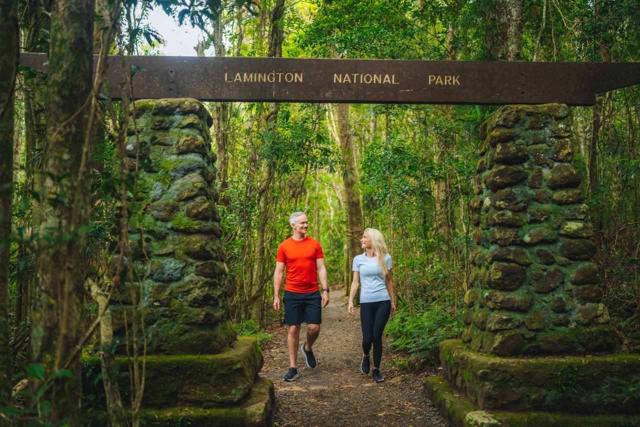 The Best Hikes National Parks Near The Gold Coast Queensland