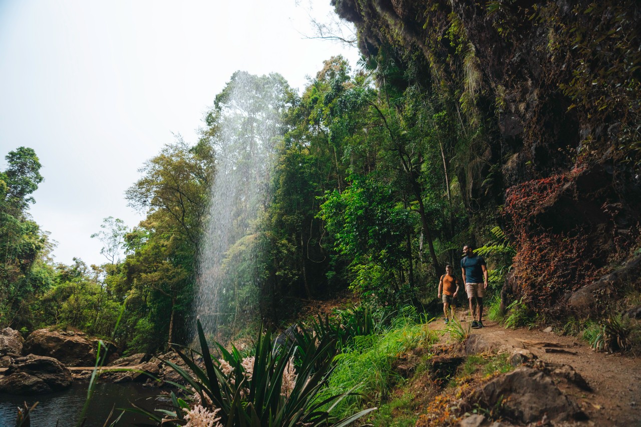 Fun Things To Do On The Gold Coast When It S Raining