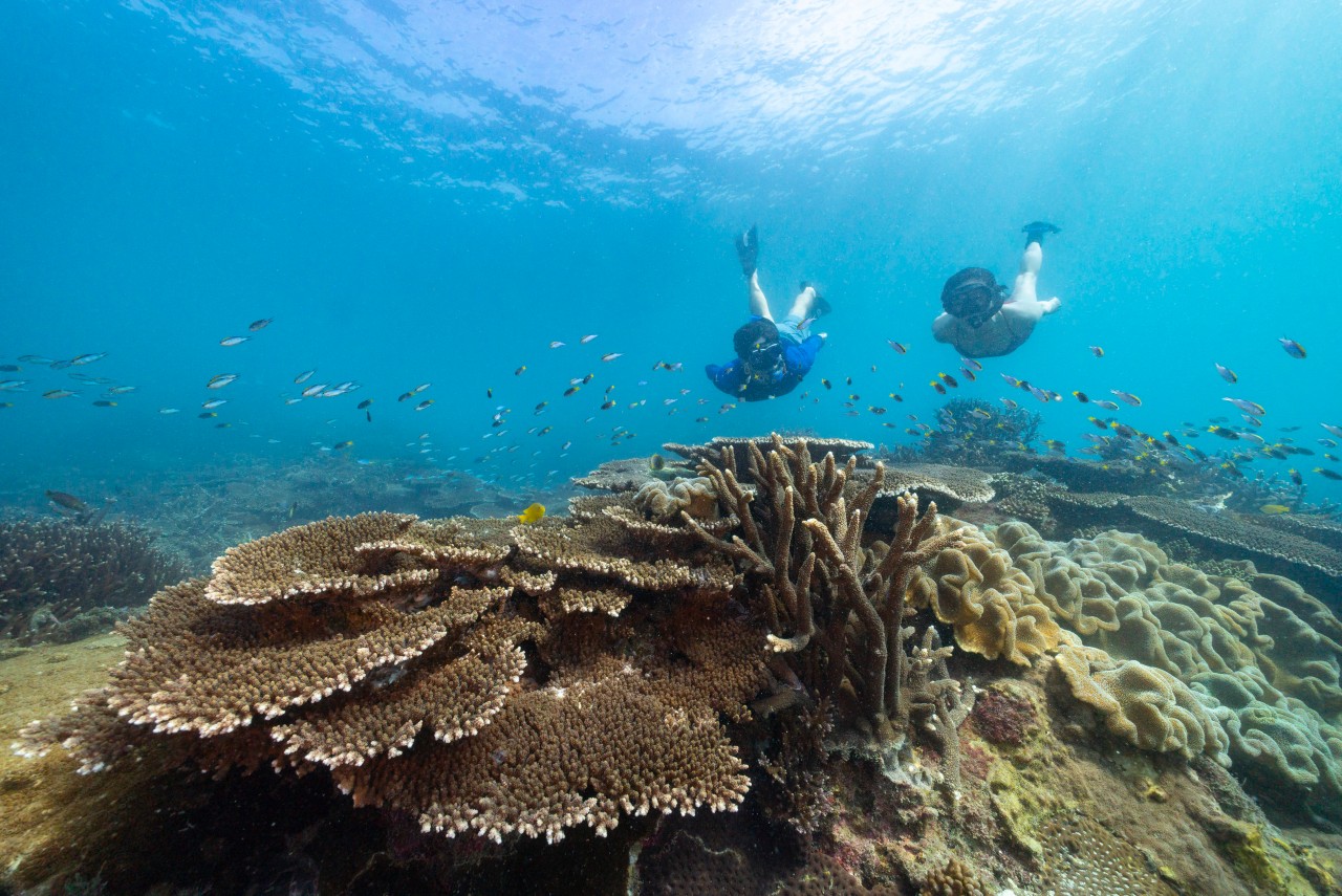 How to experience the Great Barrier Reef on a budget | Queensland