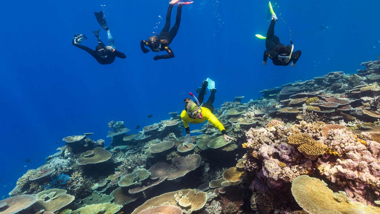 caring-for-the-reef-great-barrier-reef-queensland