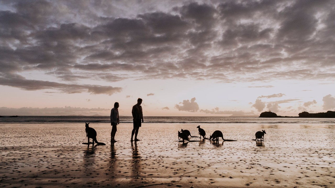 48 Hours In Cape Hillsborough And Hibiscus Coast Mackay Queensland