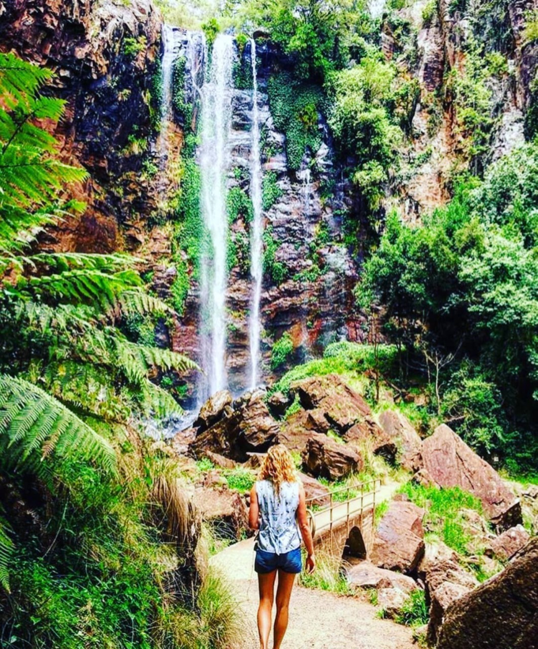 day trips in queensland