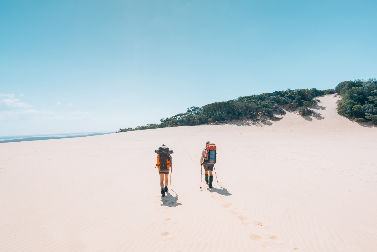 Why You Need to Do the Cooloola Great Walk  Queensland