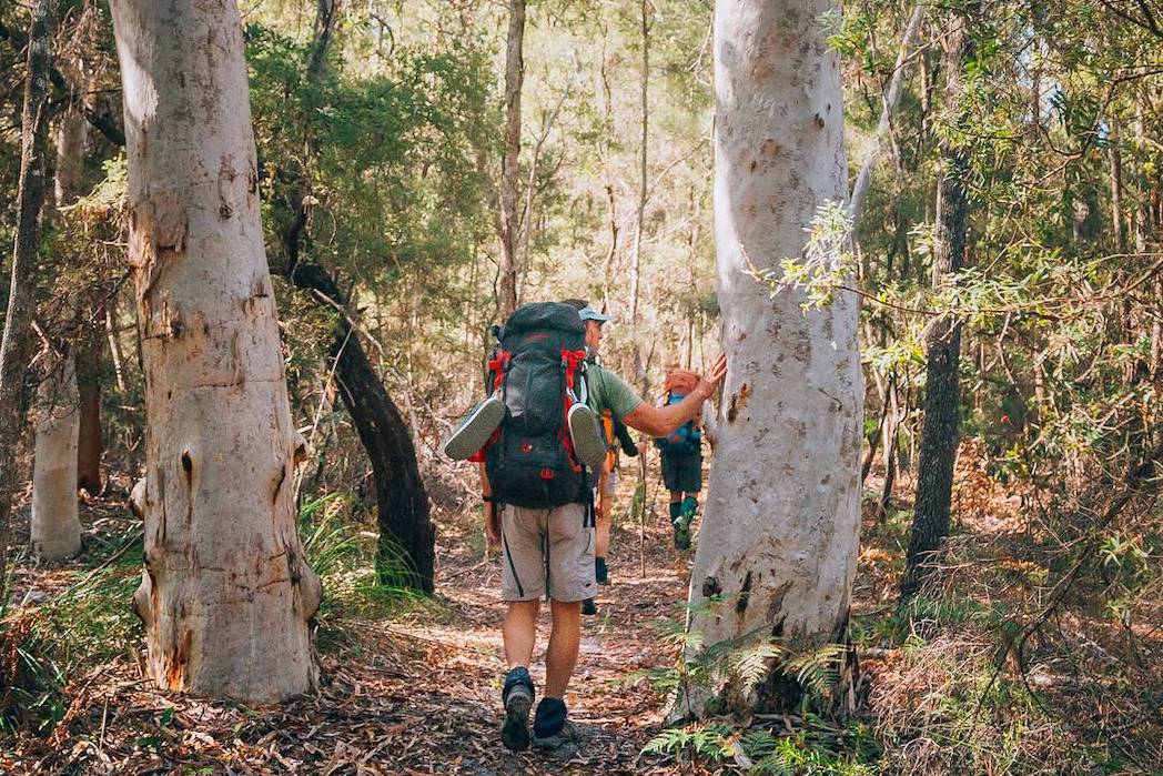 Why You Need to Do the Cooloola Great Walk  Queensland