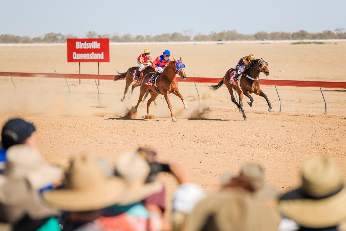 Mustsee Queensland Horse Racing Events Queensland