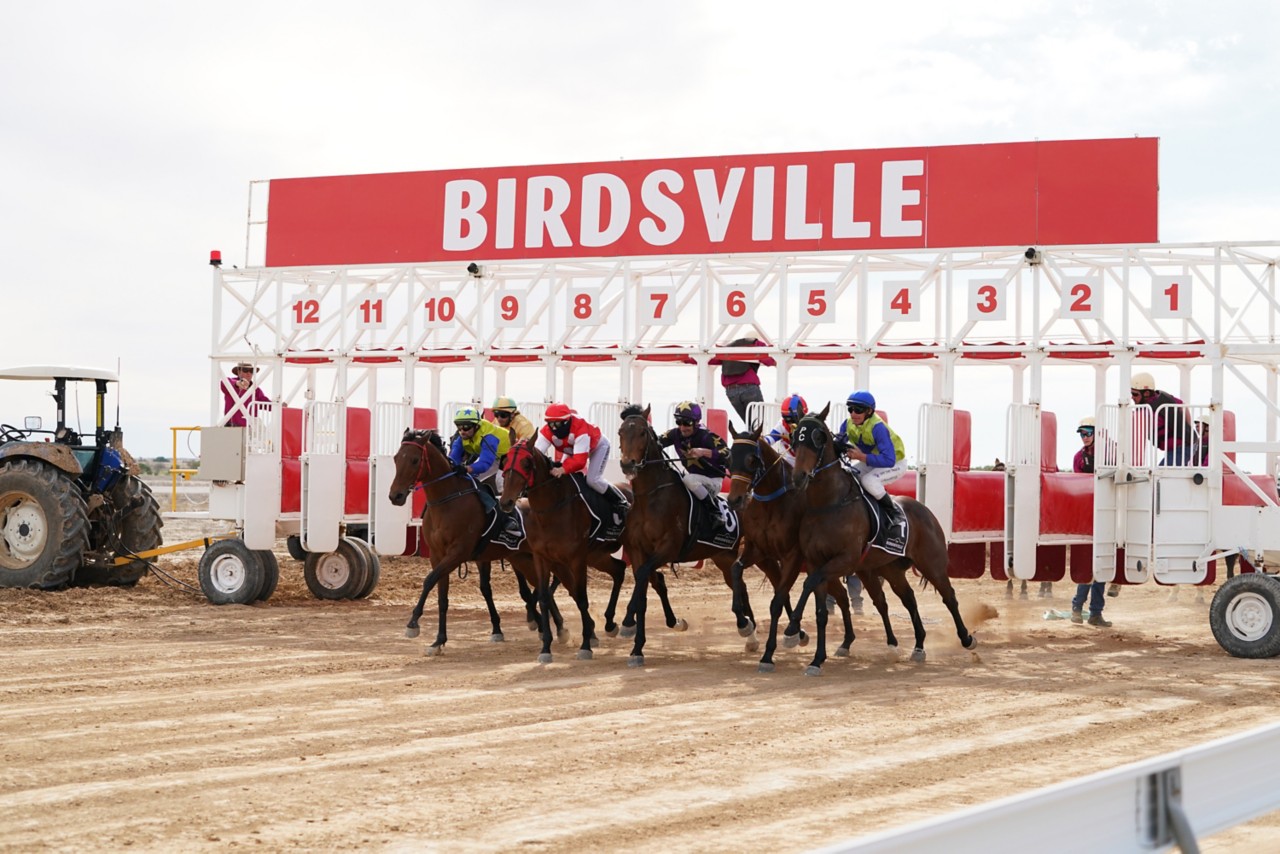 12 Bucket List Items To Tick Off The Birdsville Races Queensland