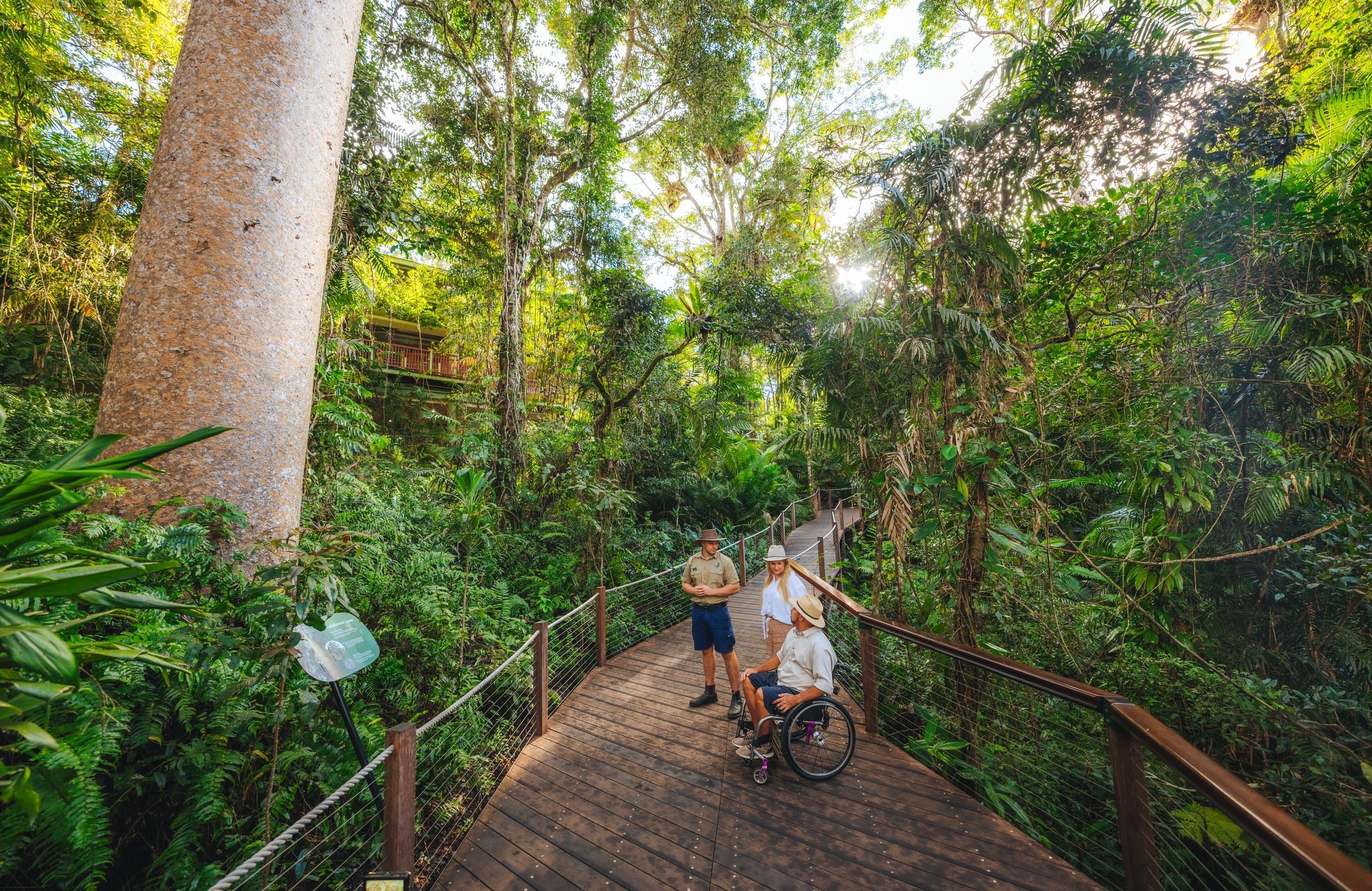 Best Hikes and Trails in Surfers Paradise Esplanade