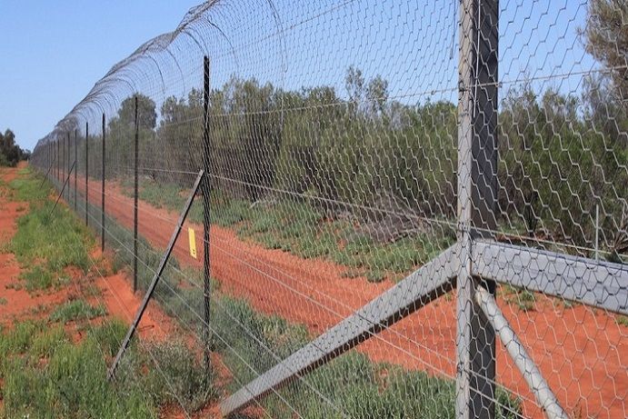 Save the Bilby Fund