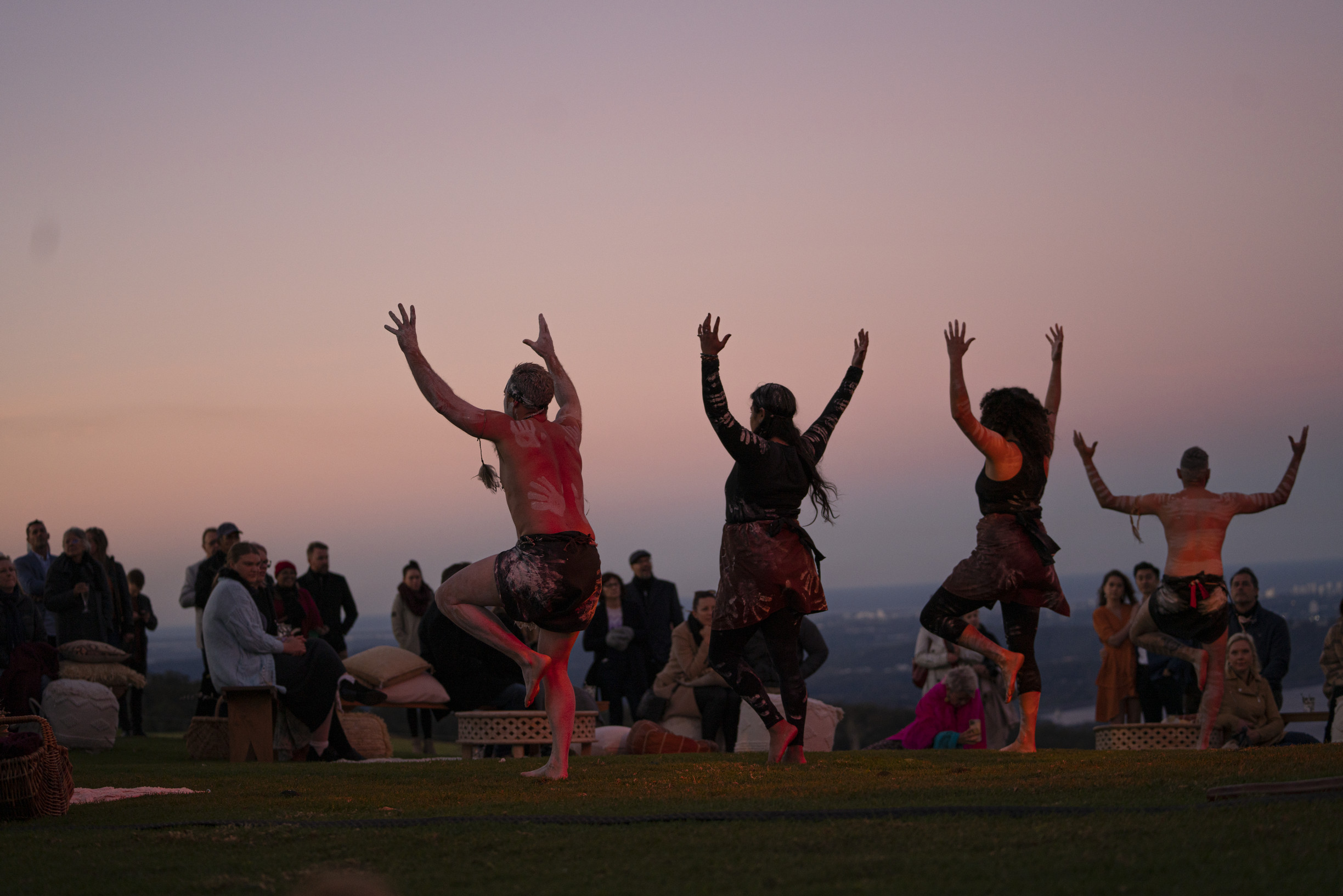 The full and final Line-Up - Townsville Cultural Fest