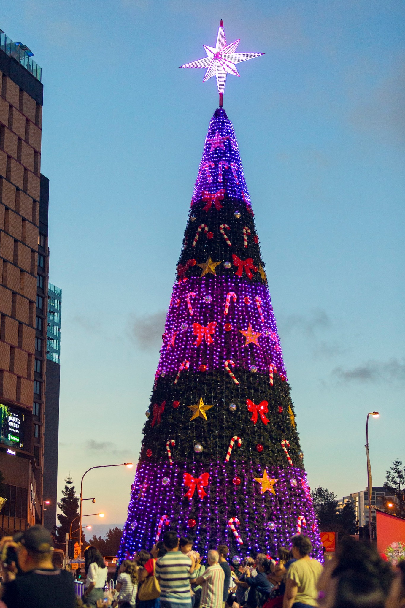 Visitors gathered around the Christmas tree at King George Square