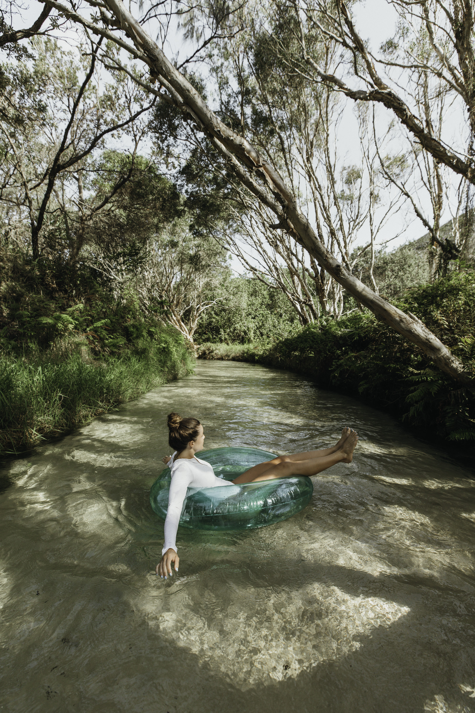 Eli Creek K'gari (Fraser Island) | Great Beach Drive road trip