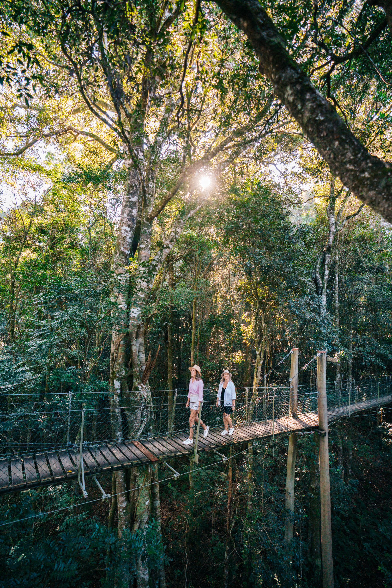 Two women walking along a bridge in the rainforest Two women walking along a bridge in the rainforest