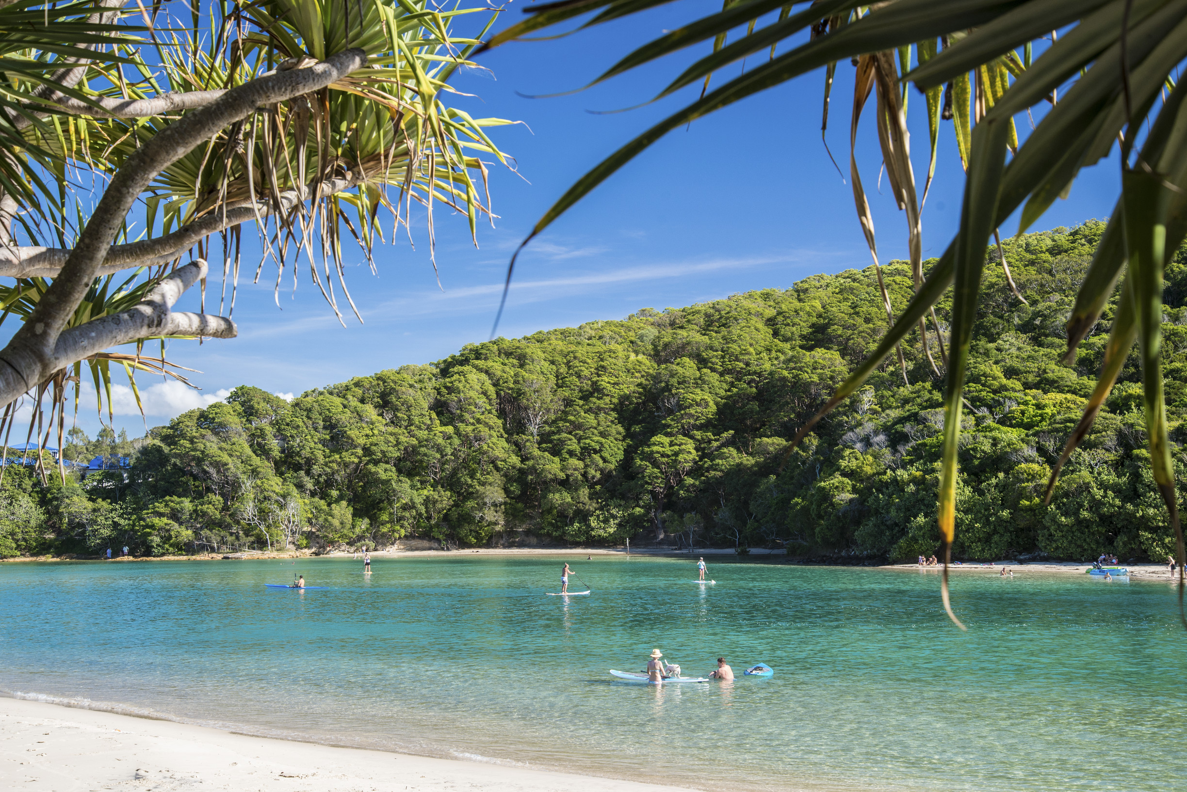 People SUPing at Tallebudgera Creek