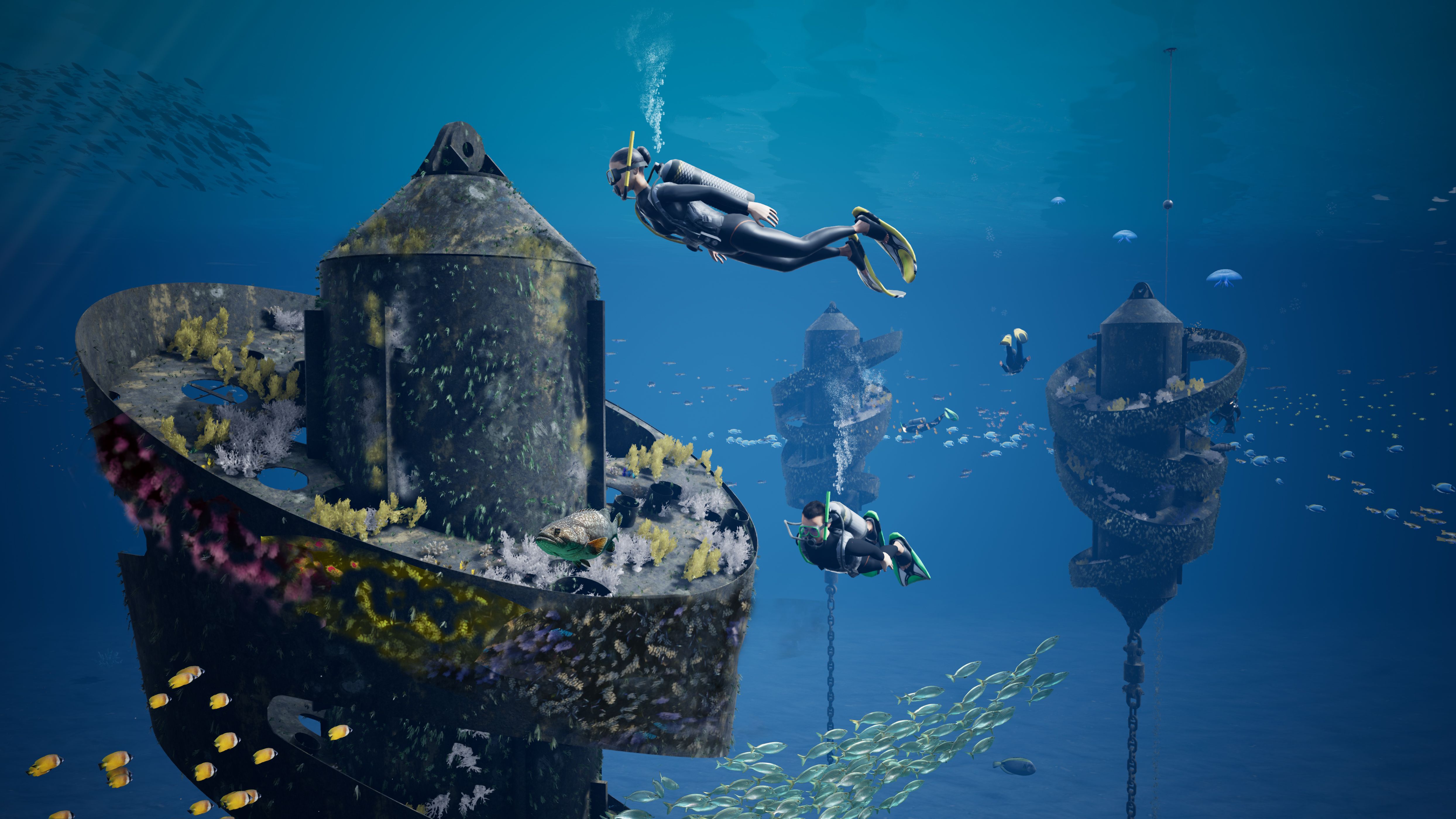 Wonder Reef On The Gold Coast Queensland