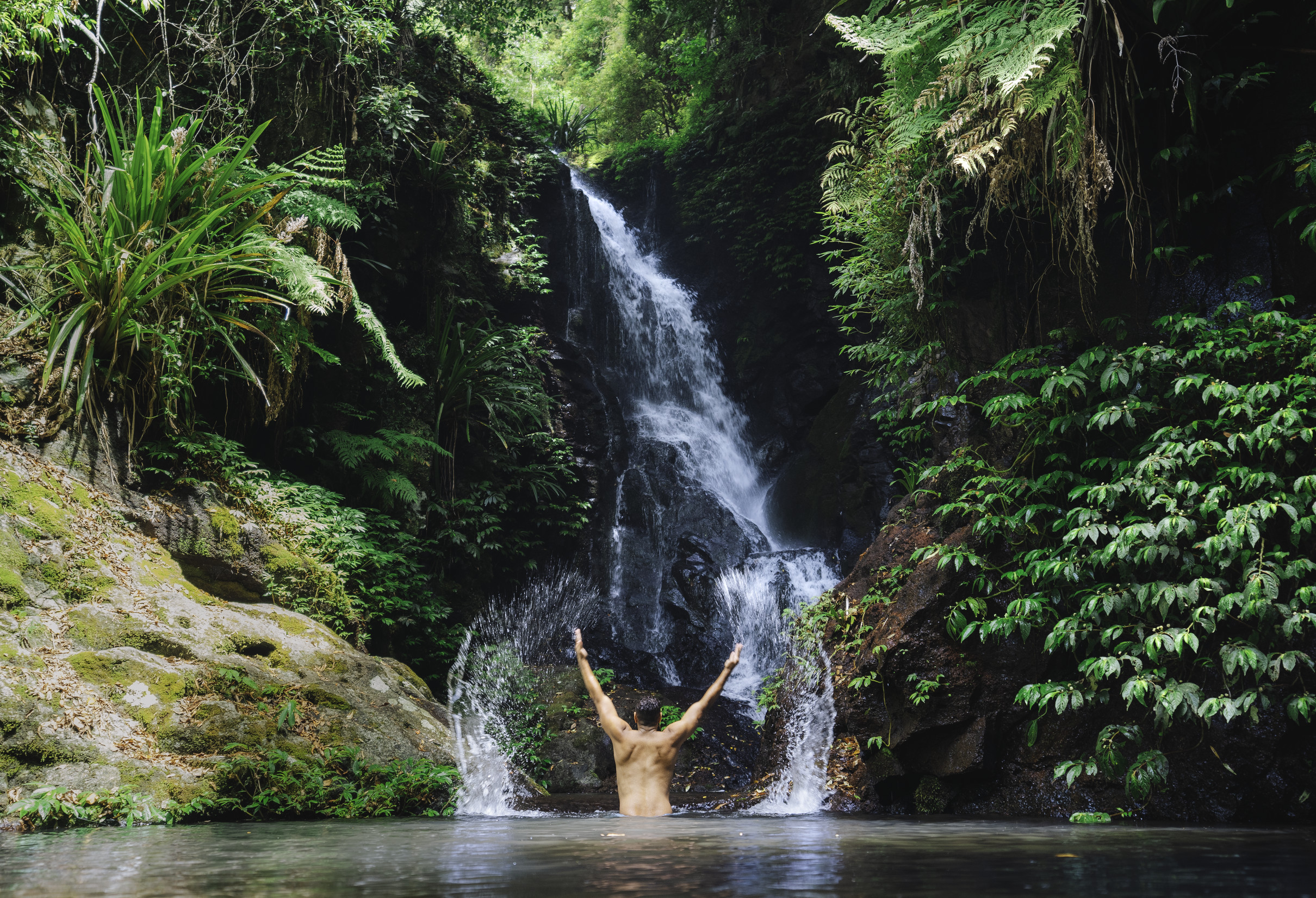 Must-See Natural Attractions On the Gold Coast | Queensland