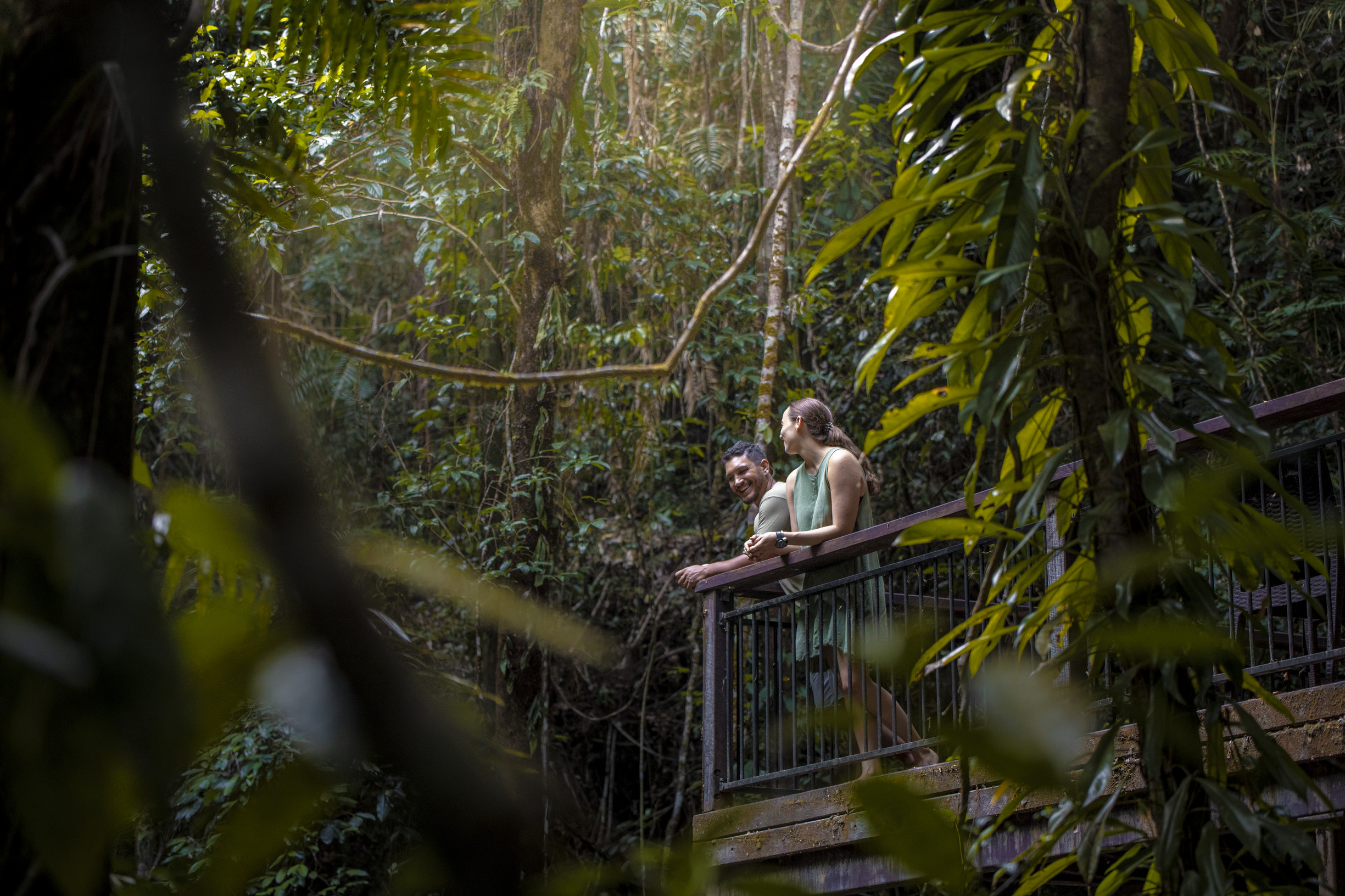 The Most Amazing Rainforests In Australia