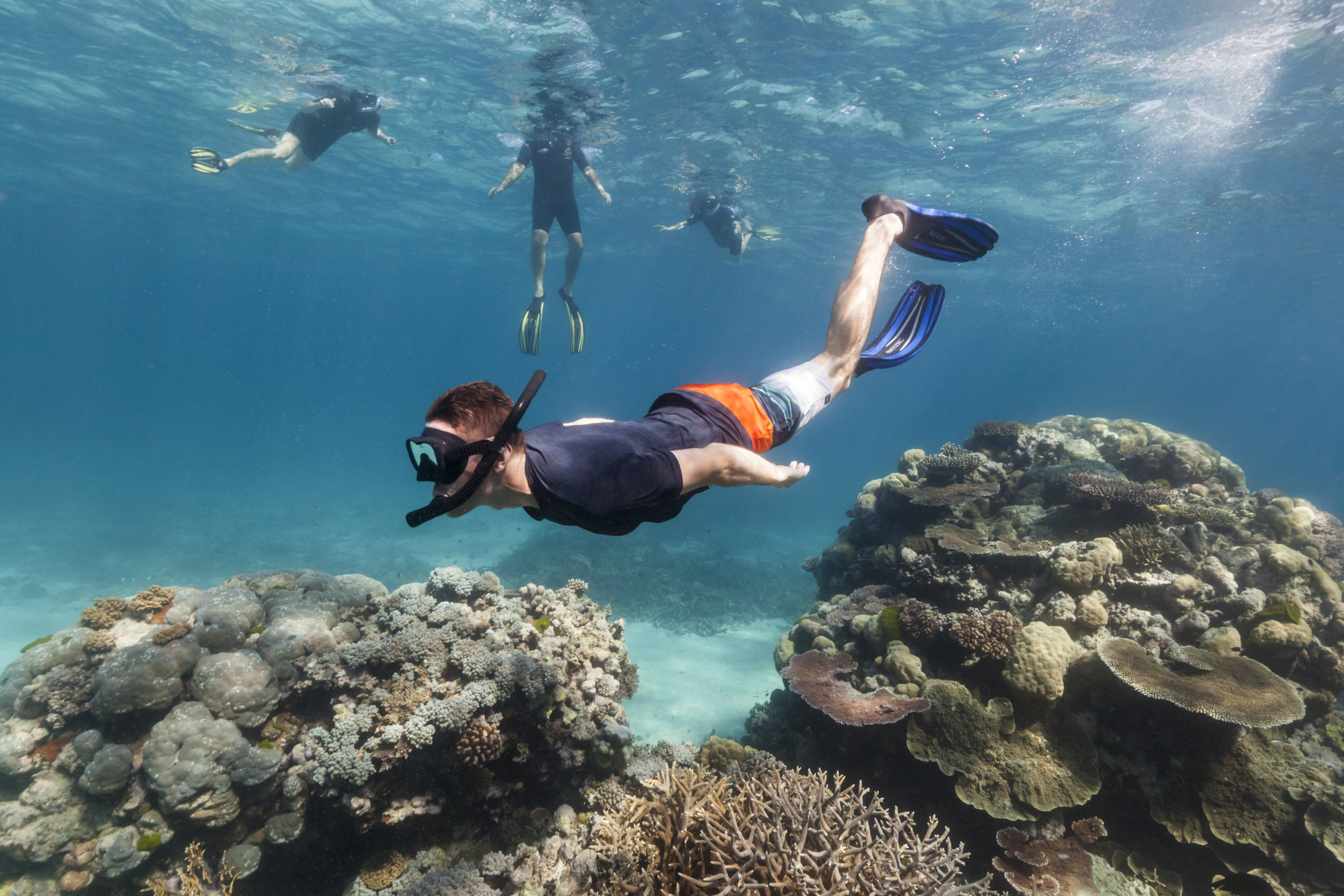 ladrar Prestado Tomar un baño The Pros and Cons of Snorkelling and Scuba Diving in Queensland | Queensland