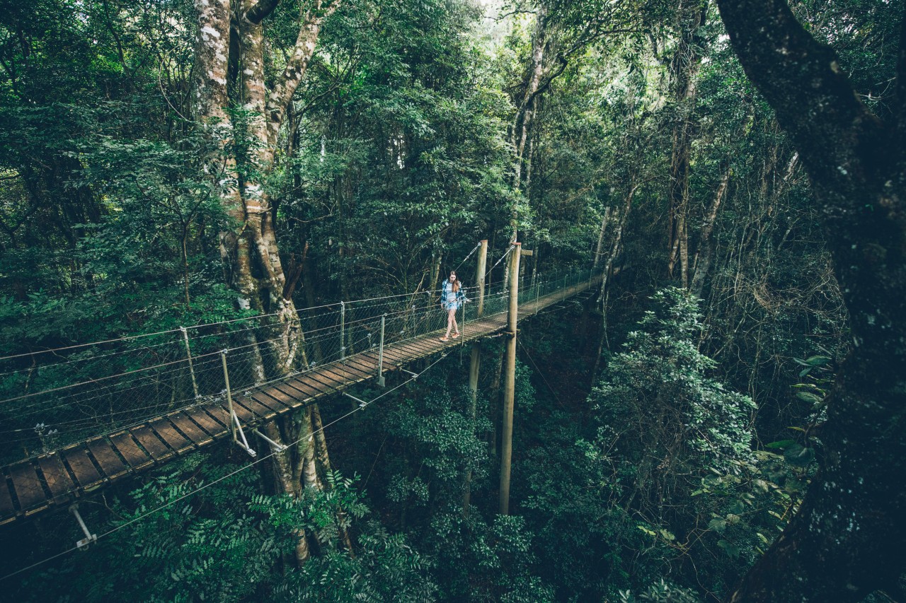 Discover The Best Hikes And National Parks Near Brisbane Queensland