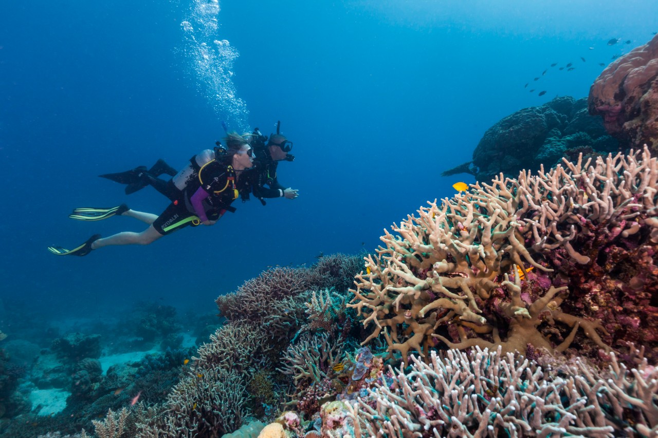 First Time Scuba Diving on the Great Barrier Reef | Queensland