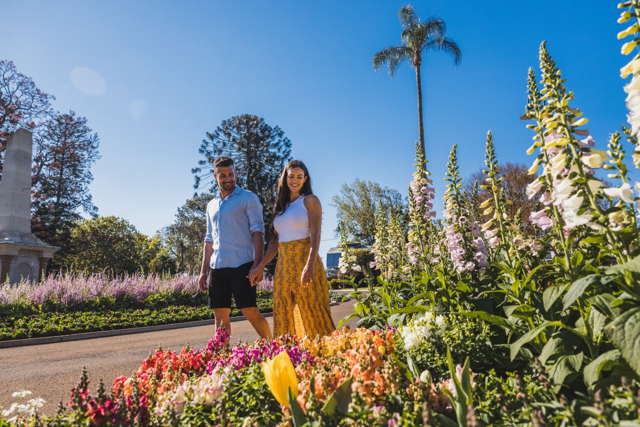 Why You Need To Visit Toowoomba Carnival Of Flowers | Queensland