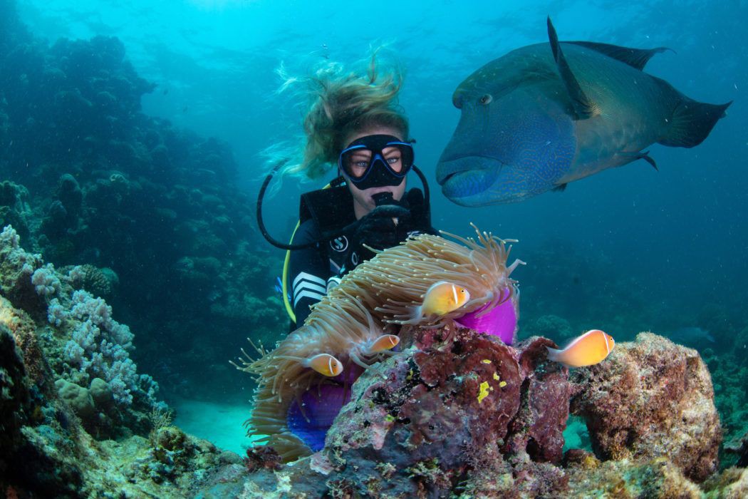 8 Unmissable Great Barrier Reef Experiences Queensland