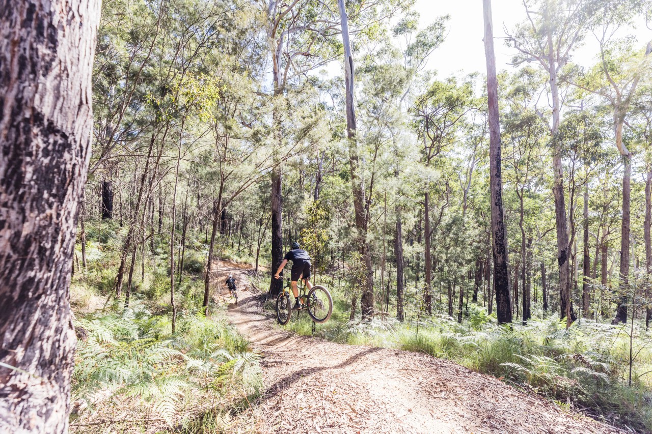 Where to go mountain biking on the Sunshine Coast Queensland