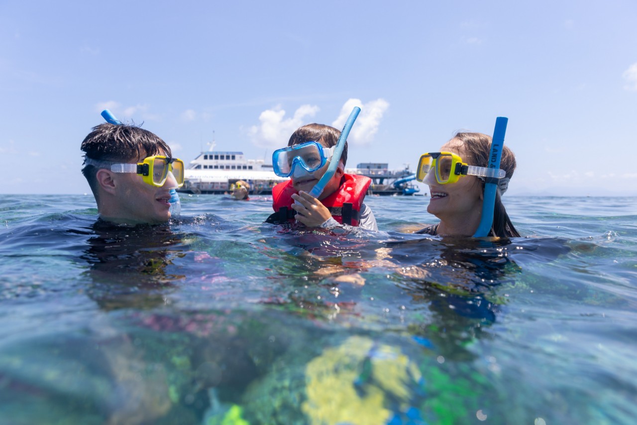 How To Plan A Great Barrier Reef Holiday Queensland