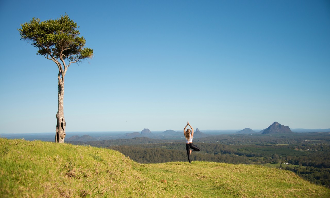 travel course sunshine coast