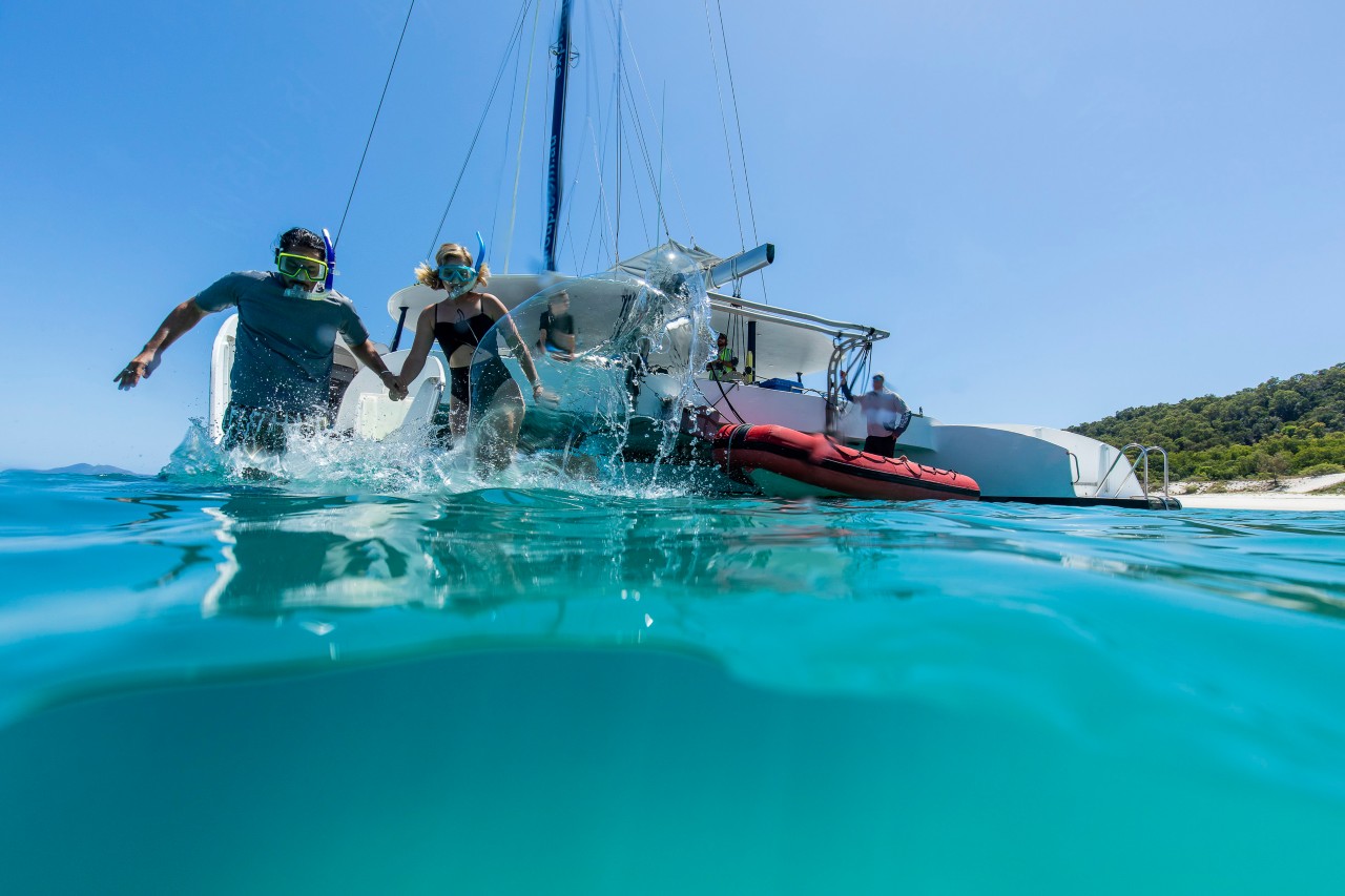 The Best Great Barrier Reef Tours Queensland   Heres How To Find The Best Great Barrier Reef Tours For You.thumb.800.480 