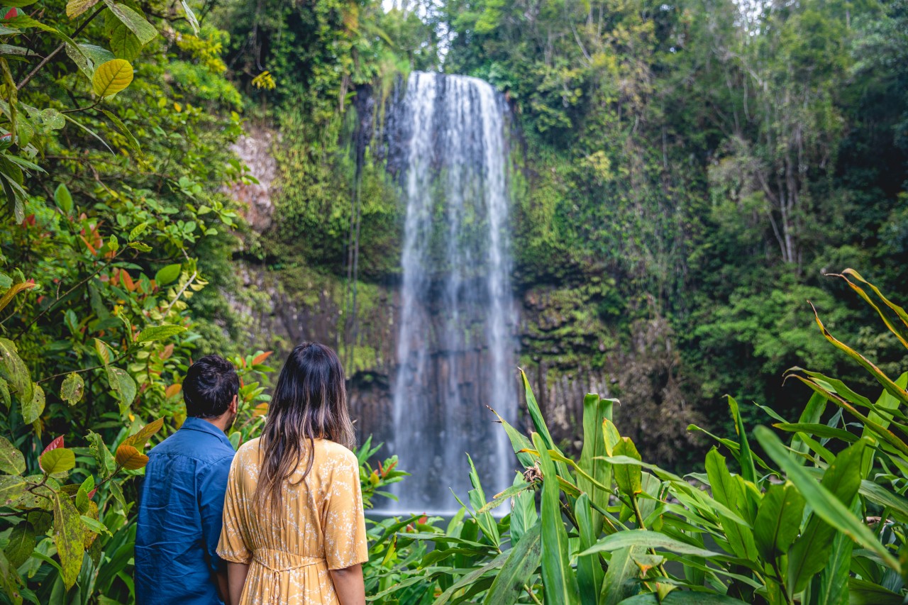 Atherton Tablelands Waterfall Circuit Itinerary | Queensland